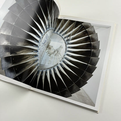 Adel Abdessemed Silent Warriors | Parasol unit and Koenig Books, 2010 | edited by Ziba Ardalan