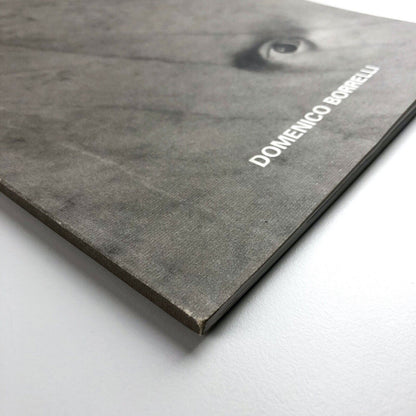 Domenico Borrelli exhibition catalogue | Studio Recalcati, Torino, 1998