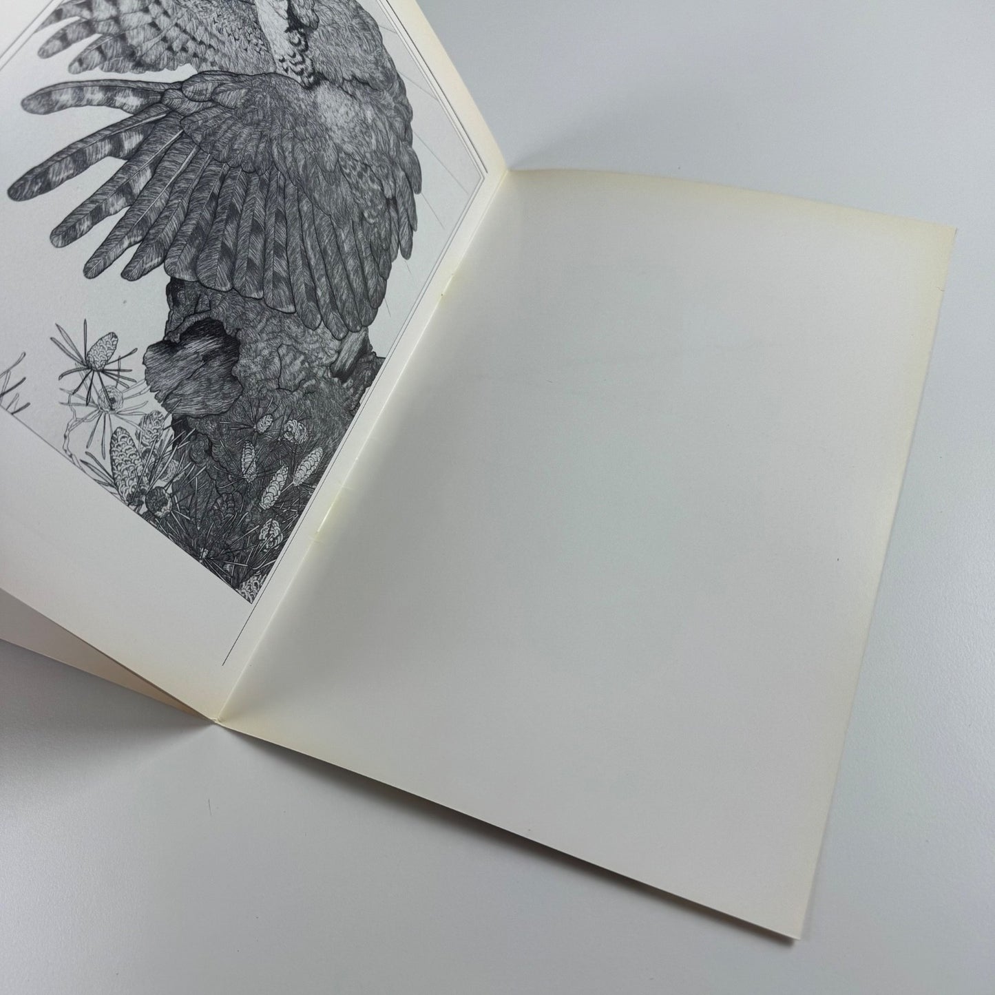 Charles Maurice and Edward Julius Detmold by Nicholas Alfrey & Richard Verdi | Heslington Hall, 1983/4