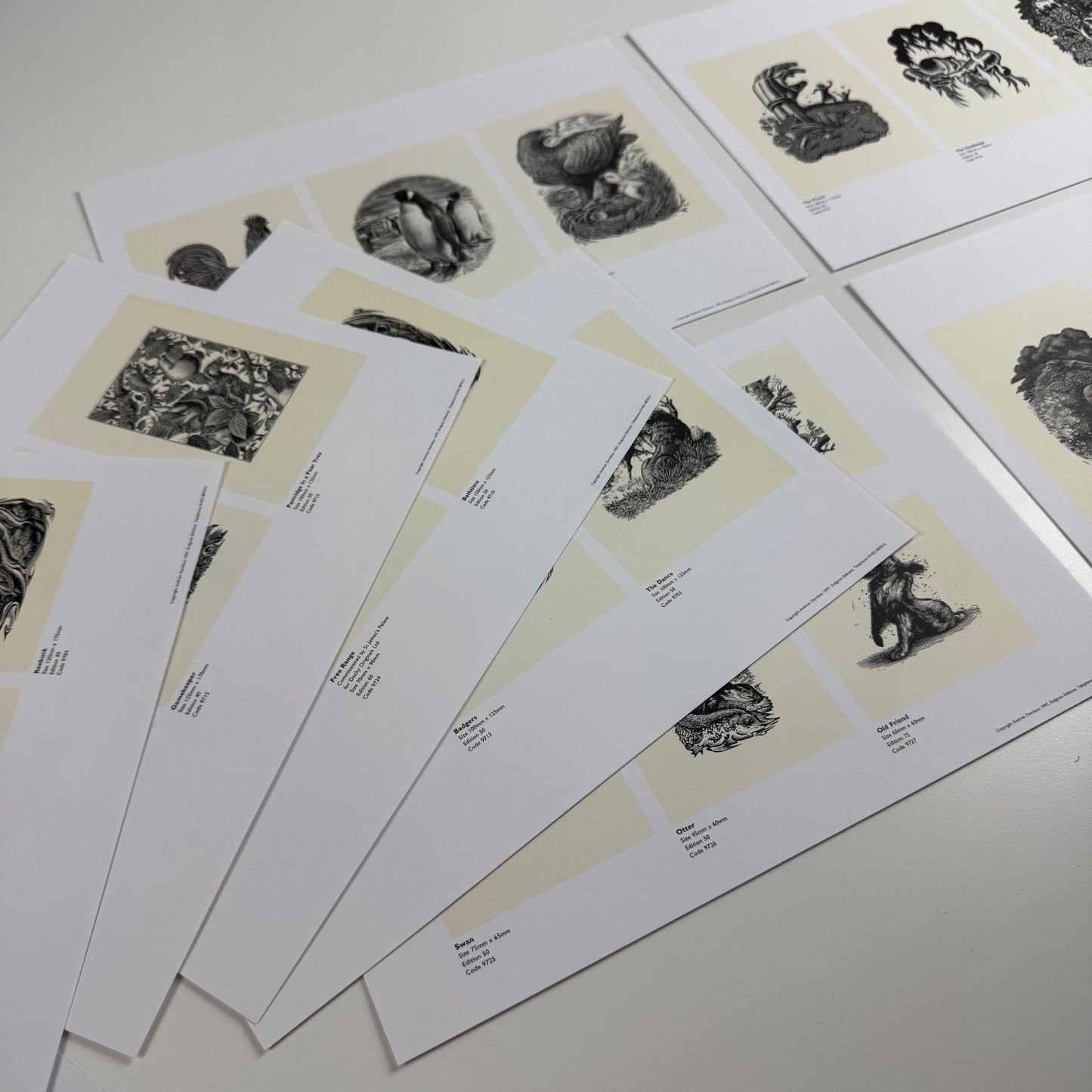 Folder promoting Andrew Davidson wood-engravings for Endgrain Editions 1997