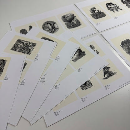 Folder promoting Andrew Davidson wood-engravings for Endgrain Editions 1997