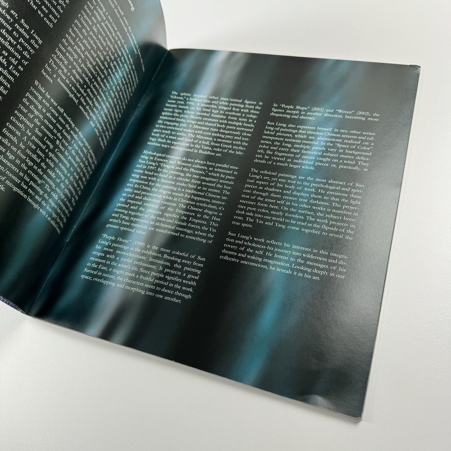 Sun Liang. Reflections | Contrasts Gallery Shanghai | Exhibition catalogue, 2005