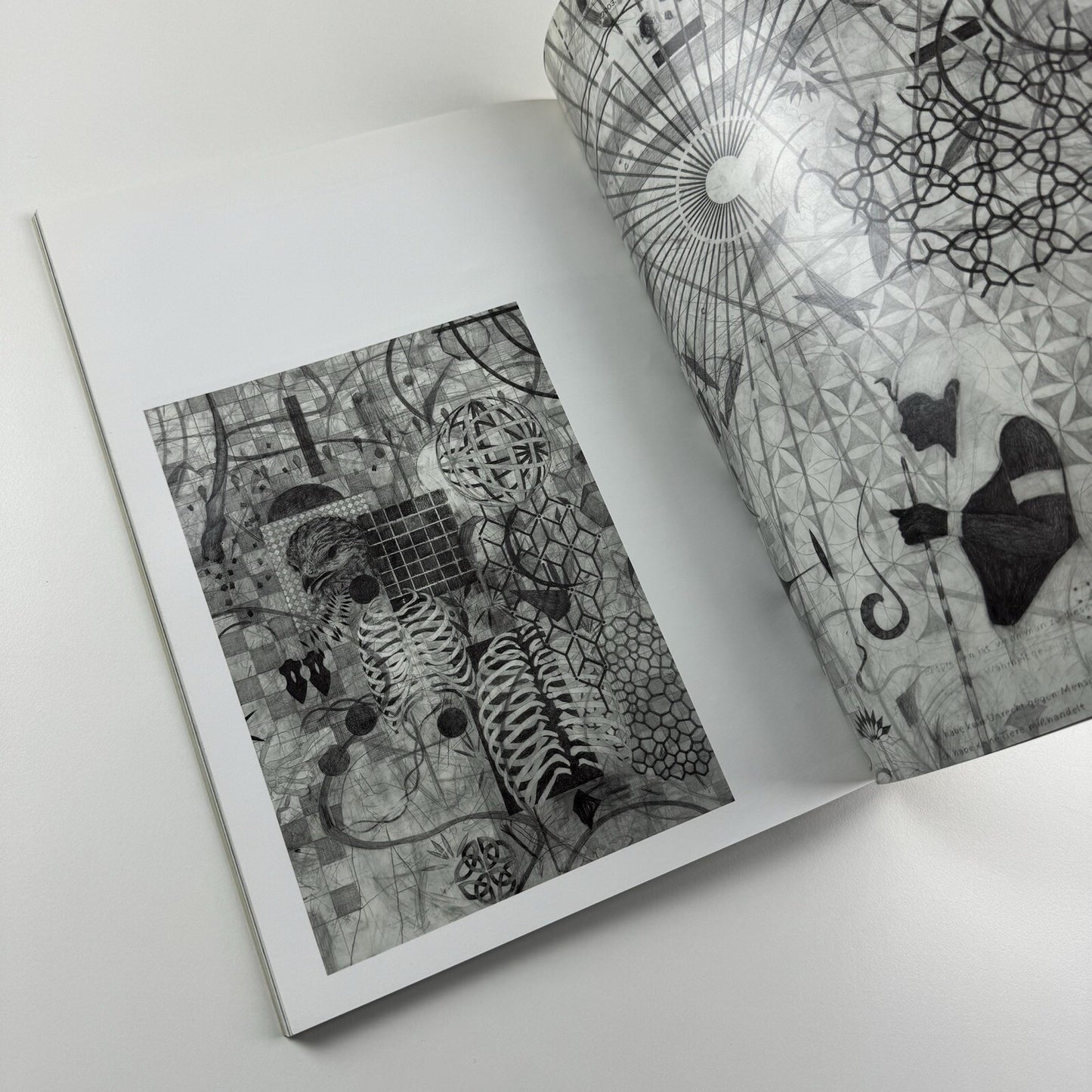 Jonas Burgert. Hitting Every Head | Haunch of Venison London, 2009 catalogue
