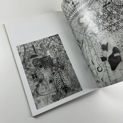 Jonas Burgert. Hitting Every Head | Haunch of Venison London, 2009 catalogue