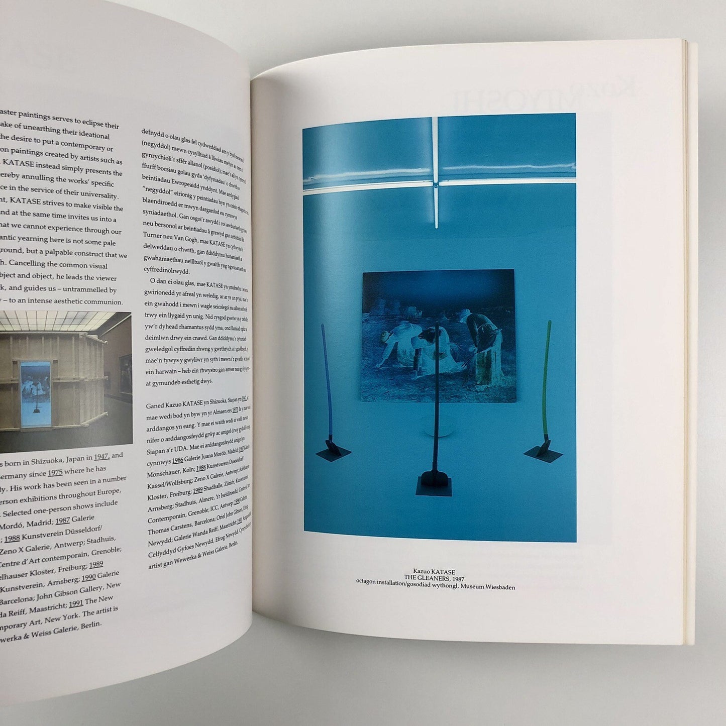 Radicalchip. Contemporary Art from Japan | Chapter, FFotogallery and Oriel 1991
