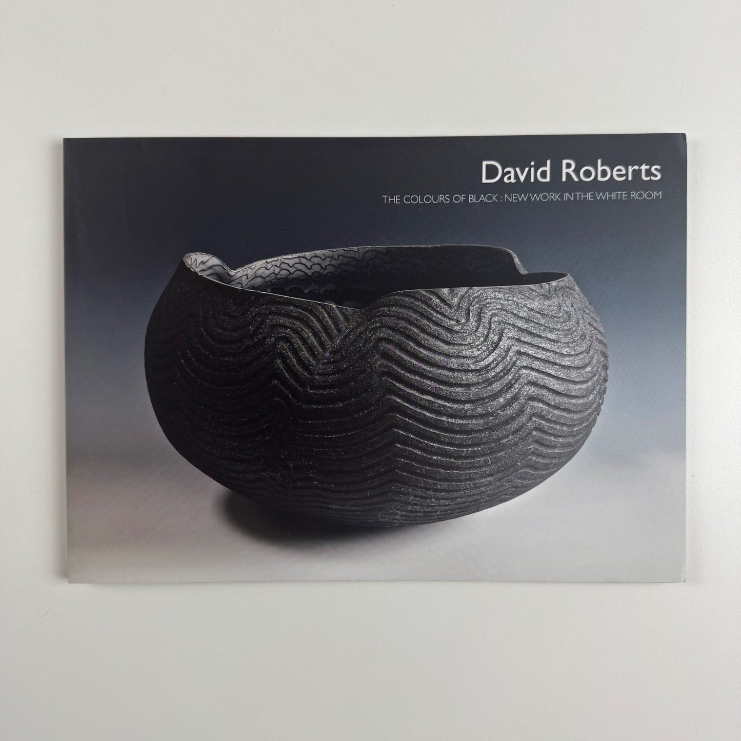 Folding card/PV invite David Roberts. The colours of black Lemon Street Gallery, 2016