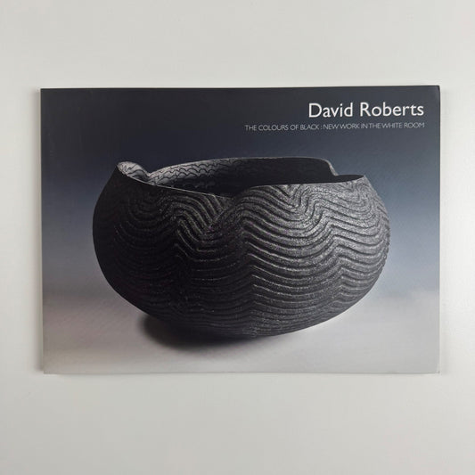 Folding card/PV invite David Roberts. The colours of black Lemon Street Gallery, 2016