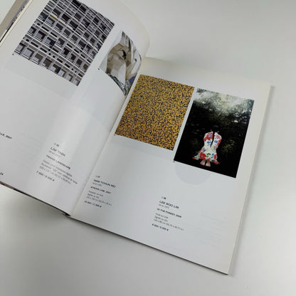Artcurial October 2007 Cutting Edge | Modern & Contemporary Art sale catalogue | Hotel Dassault