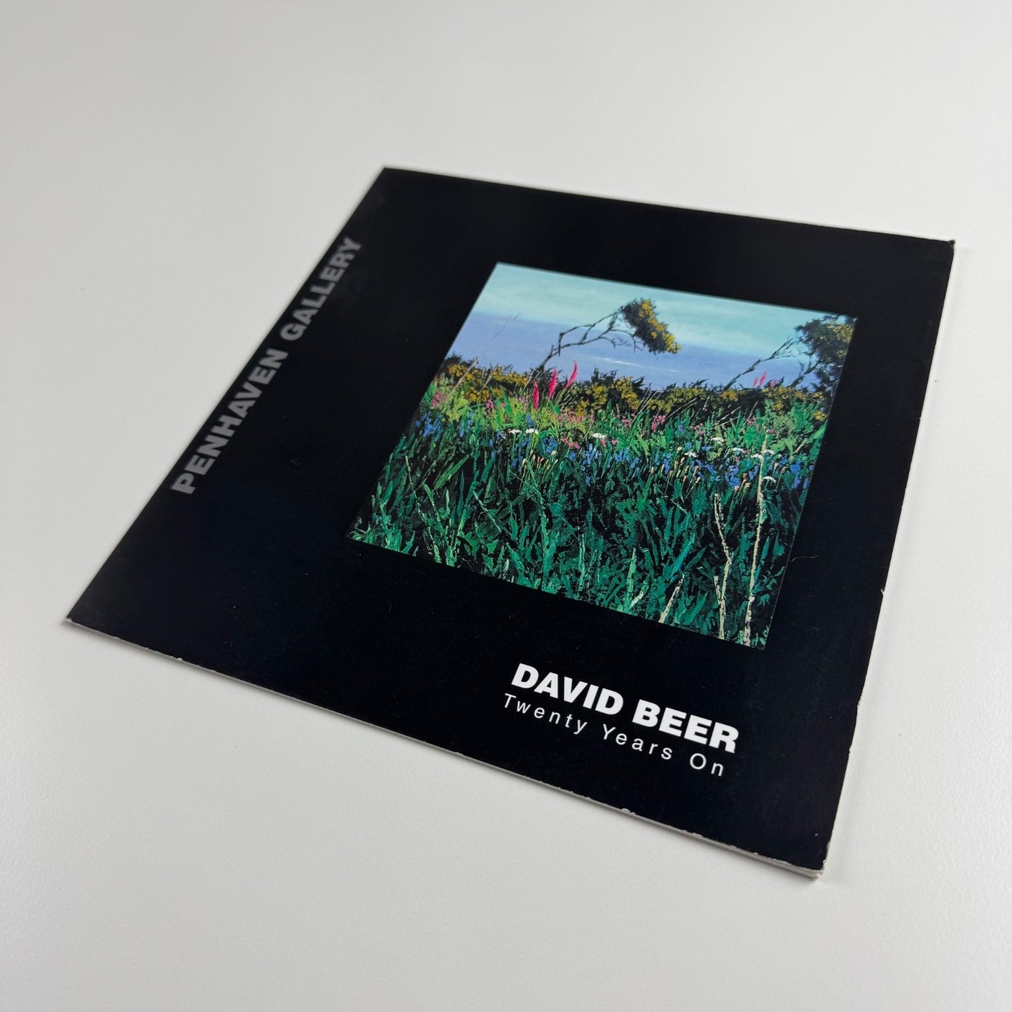 David Beer. Twenty Years On | Penhaven Gallery, 2006