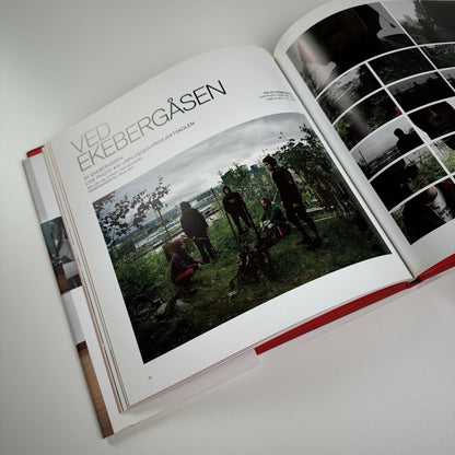 Crispin Gurholt. Live Photo | Lillehammer Kunstmuseum exhibition catalogue, 2012