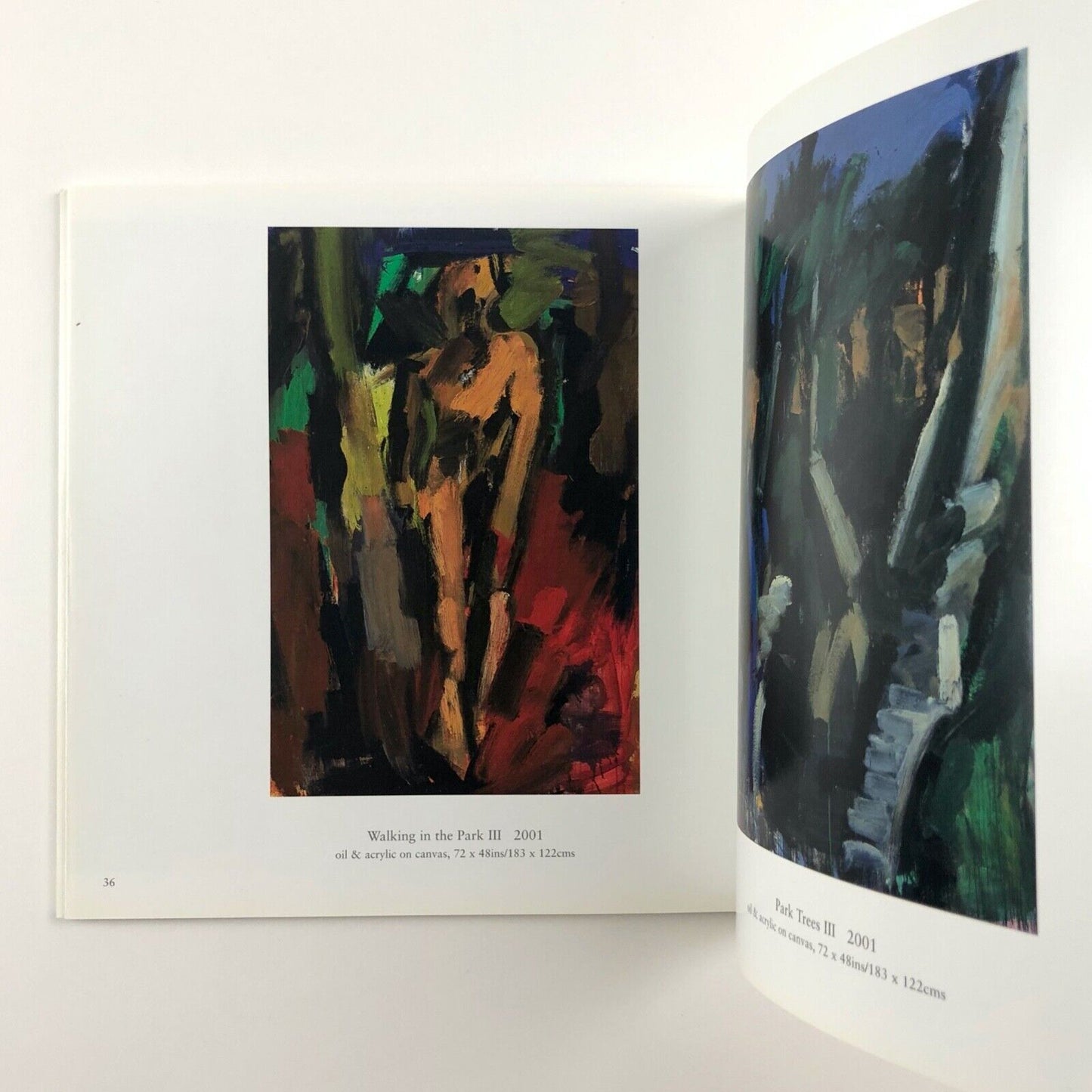 Michael Kane. Works 1985-2001 | Art Space Gallery | Rubicon Gallery, 2001