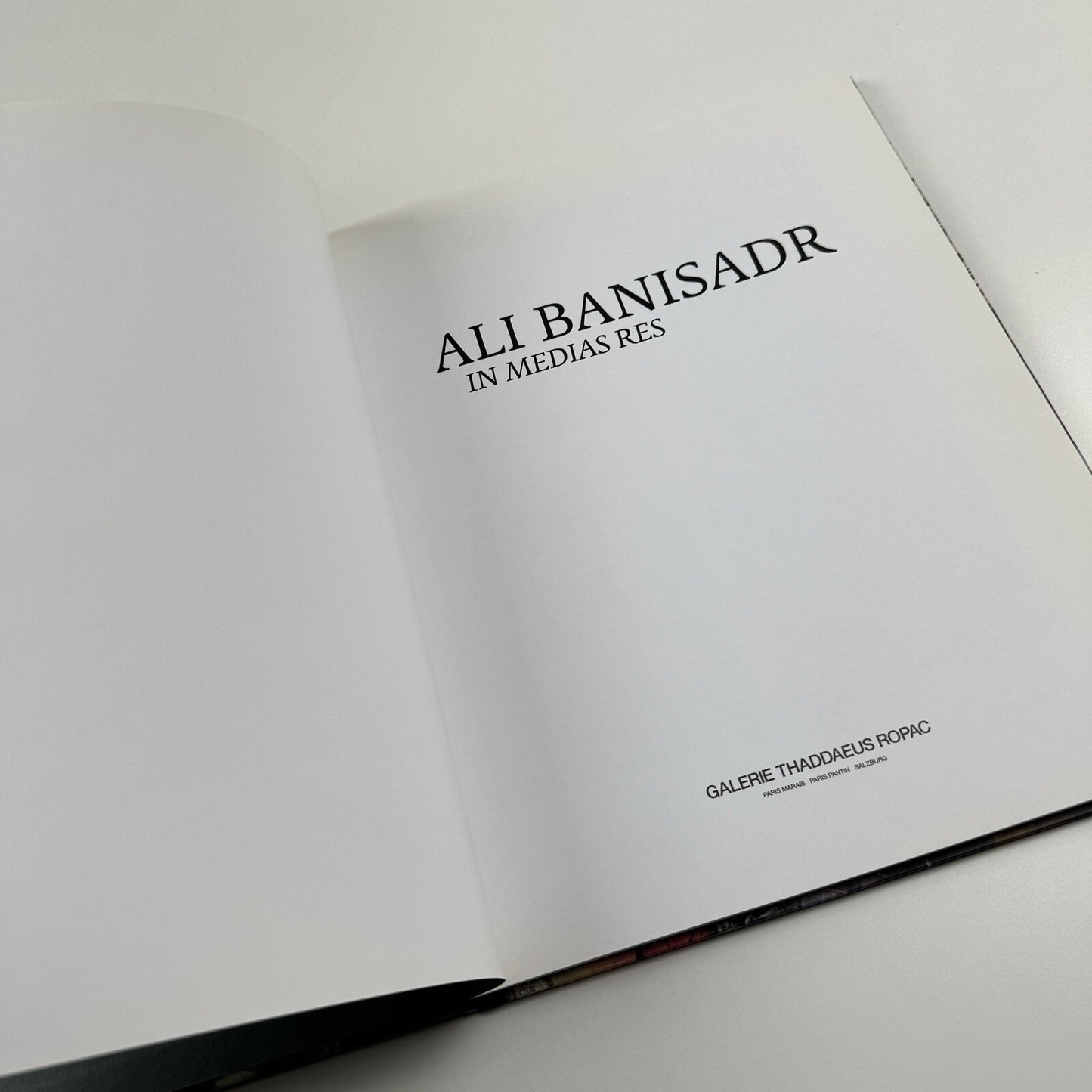 Ali Banisadr: In Medias Res | Galerie Thaddaeus Ropac text Philippe Dagen | 2015 catalogue