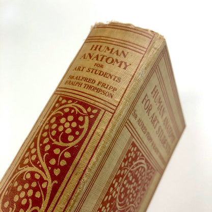 Human Anatomy for Art Students by Sir Alfred Fripp and Ralph Thompson 1911