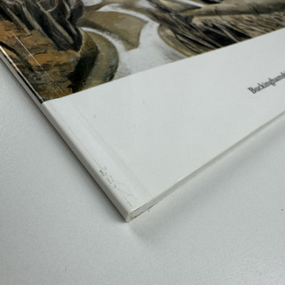 Buckinghamshire Landscapes 1444 to 1997 | Buckinghamshire Art Gallery, 1997
