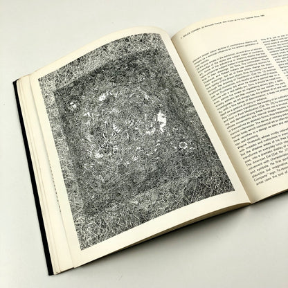 Recent American Drawings – Poses Institute of Fine Arts, Rose Art Museum 1964