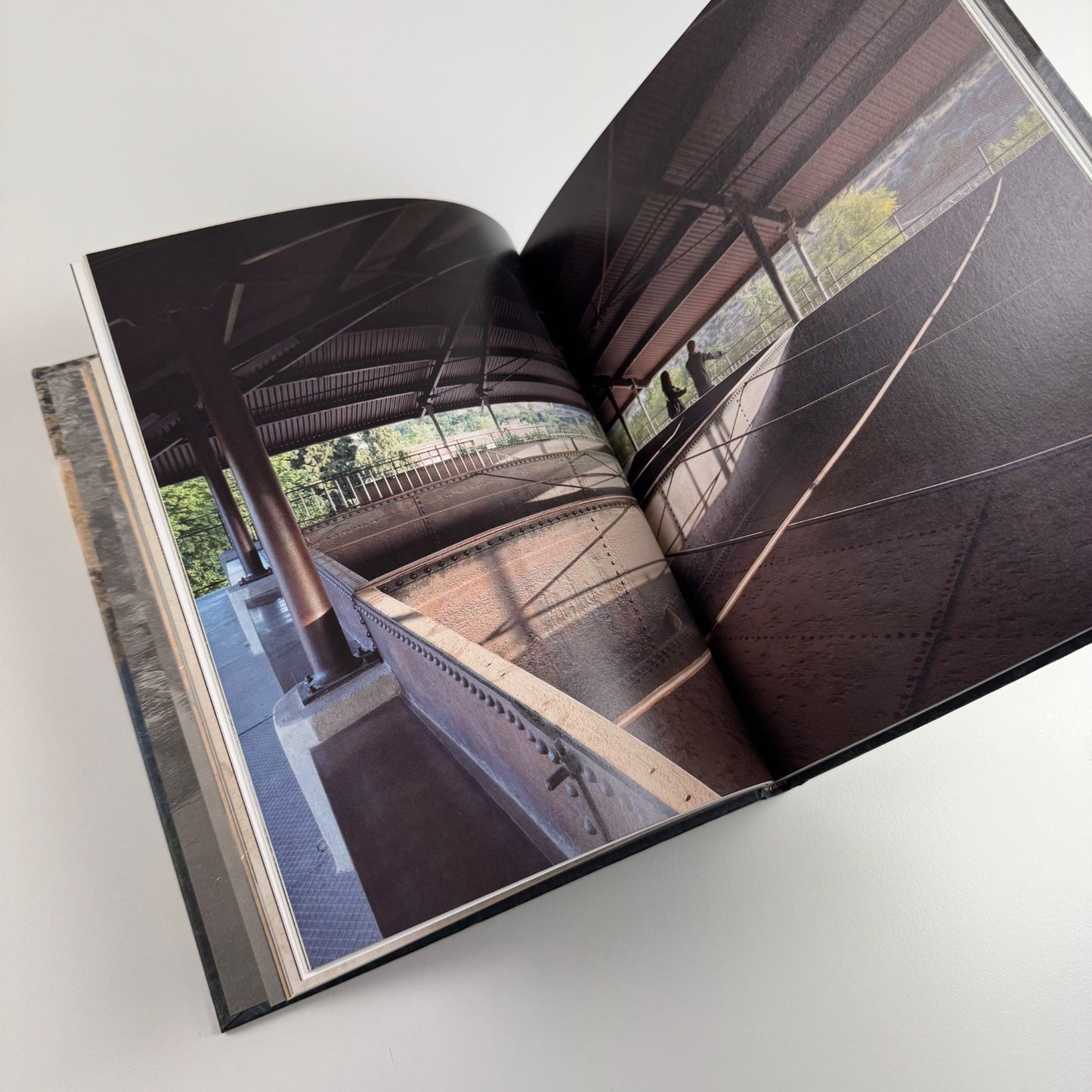 Cristina Iglesias. Tres Aguas | Edited by James Kingwood. Artangel, 2015 signed