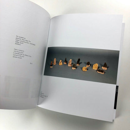 Klaus Lehmann: serendipity | Galerie Metzger, 2017