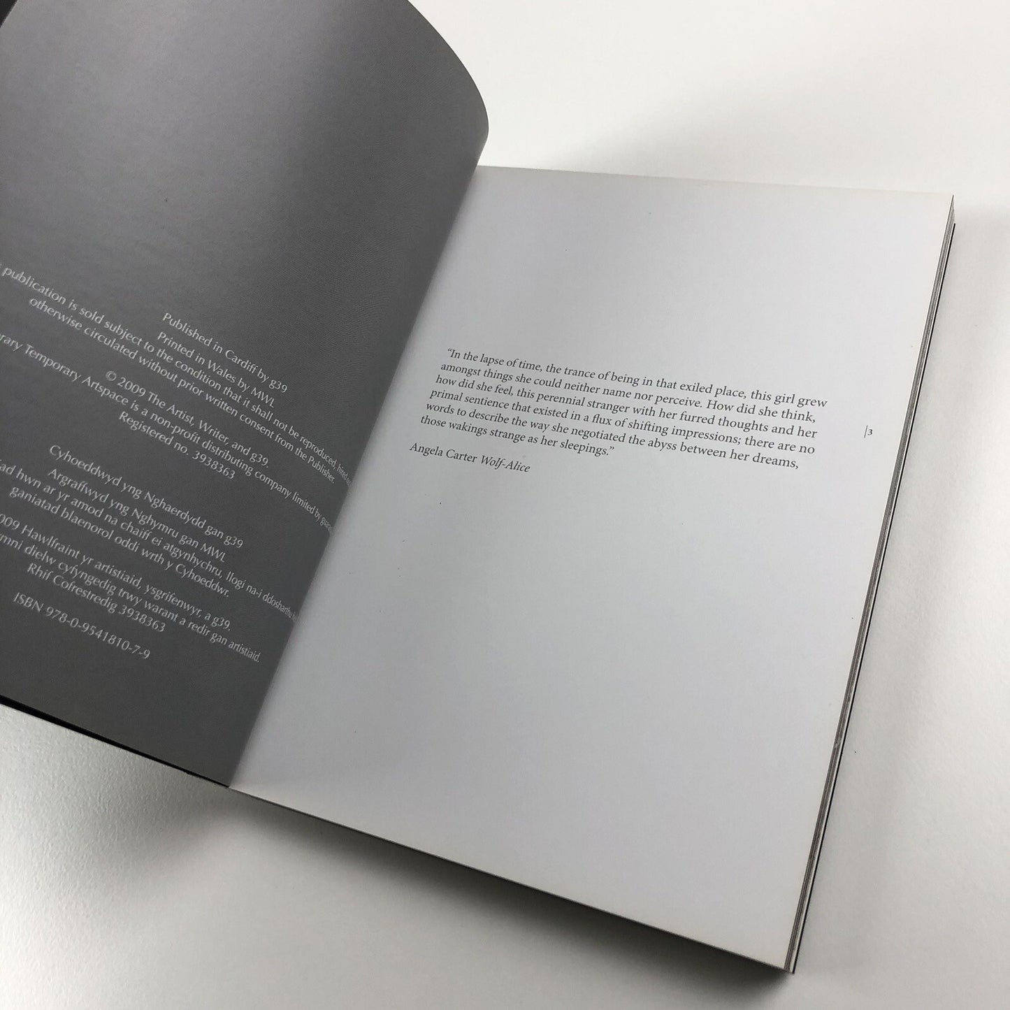 Helen Sear – Tale by David Chandler | Contemporary Temporary Artspace, 2009