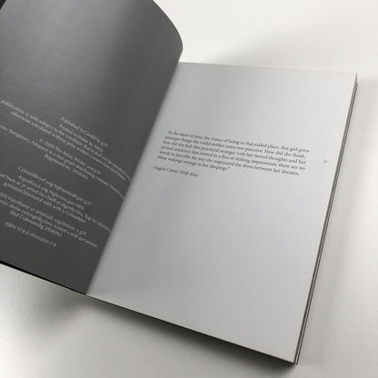 Helen Sear – Tale by David Chandler | Contemporary Temporary Artspace, 2009