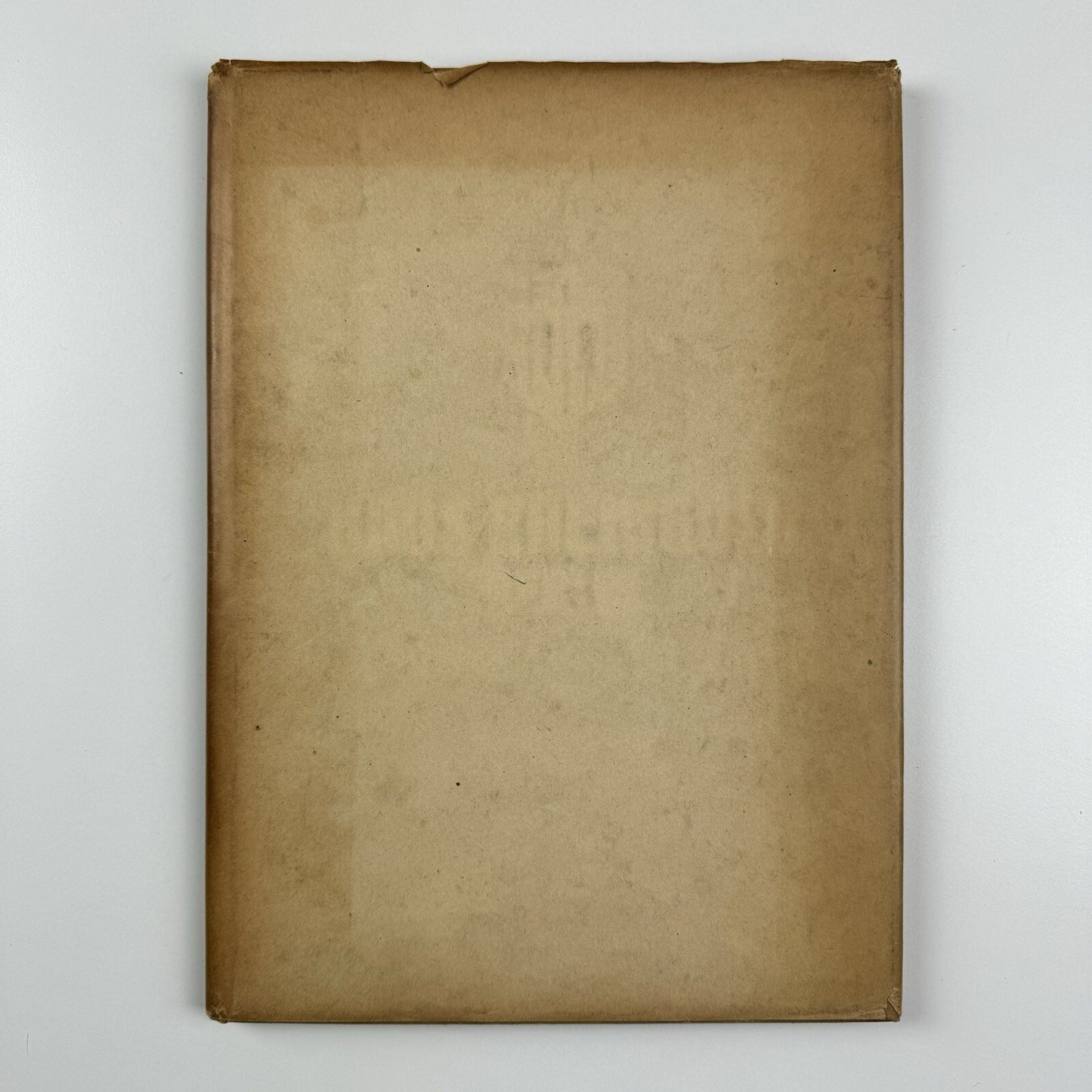 Haus Rheingold Berlin by Prof Bruno Schmitz | Kochs Monographie XIII | Alexander Koch, 1907