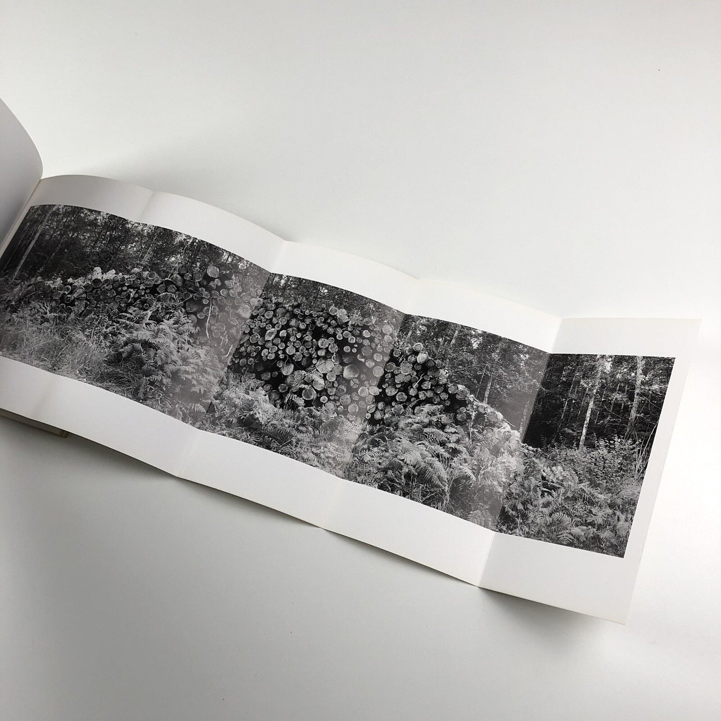 Helen Sear ... the rest is smoke | Wales in Venice biennale catalogue, 2015