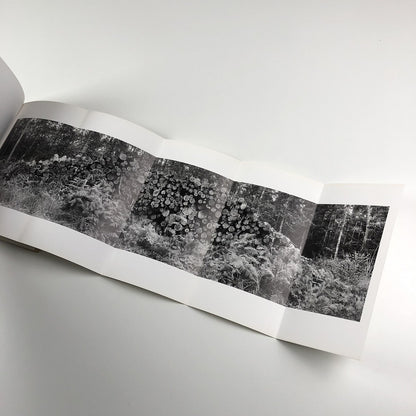 Helen Sear ... the rest is smoke | Wales in Venice biennale catalogue, 2015