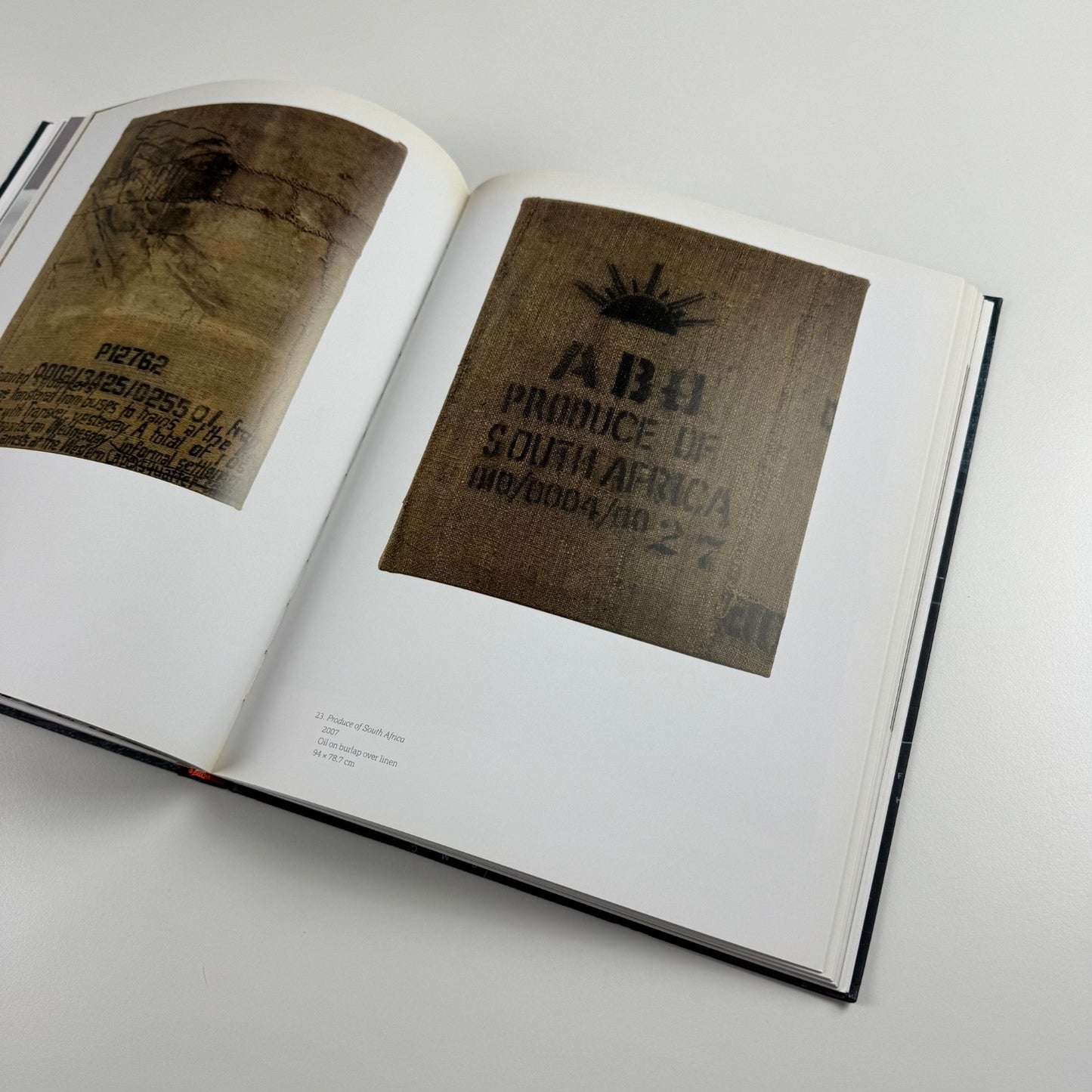 Home Lands - Land Marks: Contemporary art from South Africa Haunch of Venison, 2008