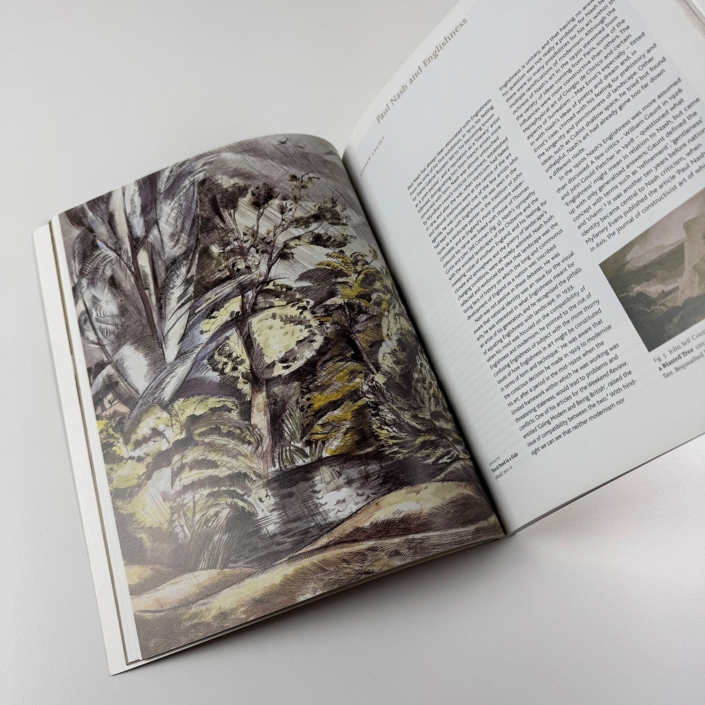 Paul Nash. Modern Artist, Ancient Landscape | Tate Liverpool, 2003