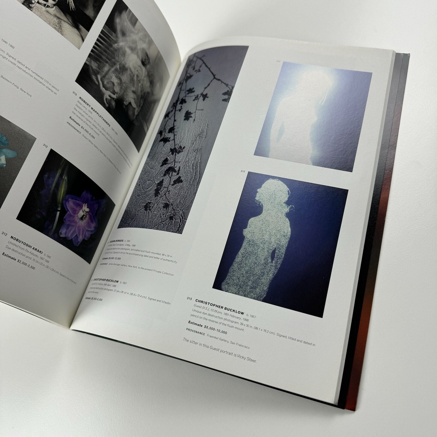 Photographs. Sale catalogue – Phillips de Pury & Company, New York, October 2006
