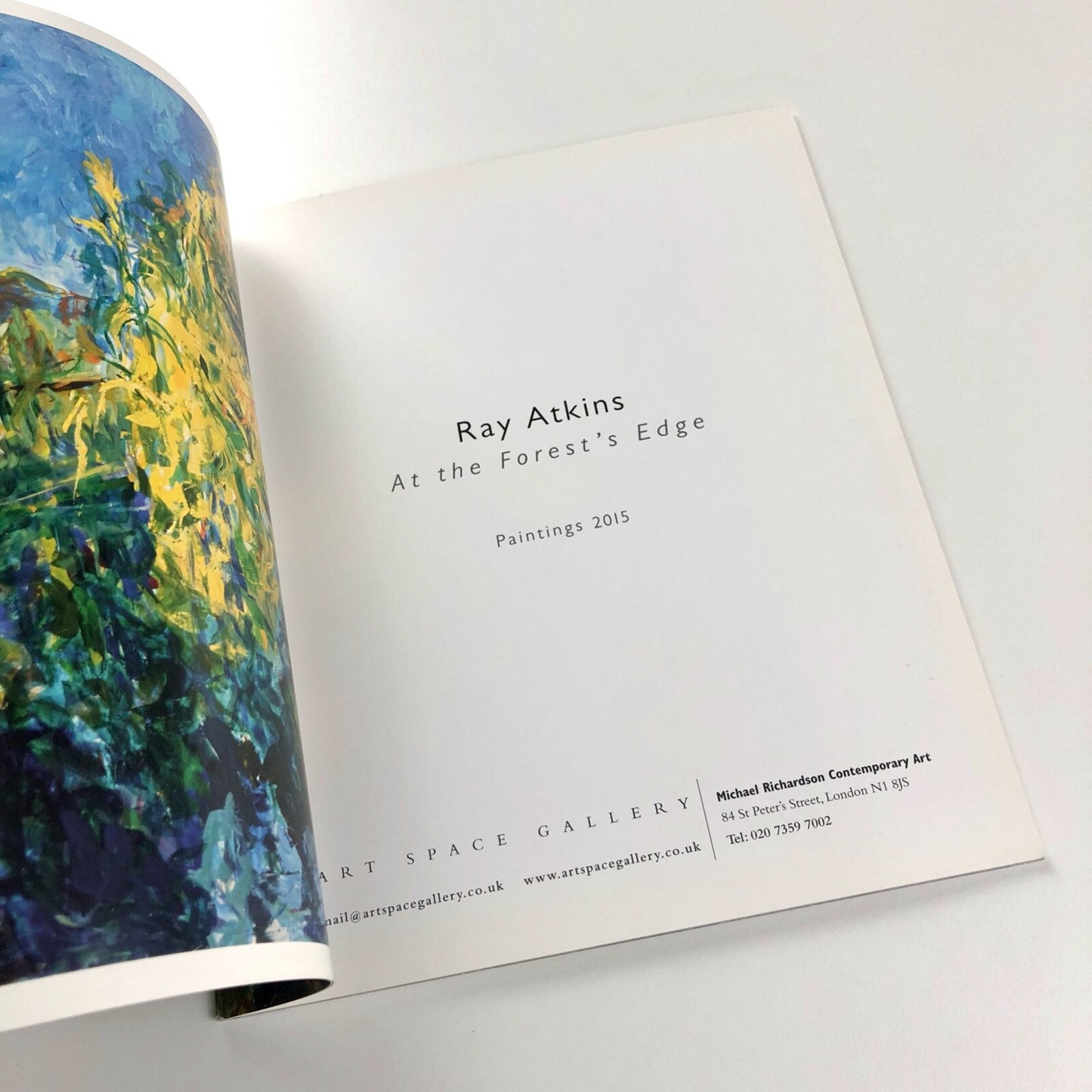 Ray Atkins. At the Forest’s Edge. Paintings 2015 | Art Space Gallery catalogue