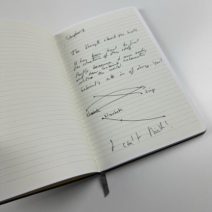 Enrique Martínez Celaya: Another Show for the Leopard Baldwin Gallery | 2007 exhibition catalogue