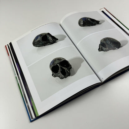 Shezad Dawood: Towards the Possible Film | Parasol unit, London 2014