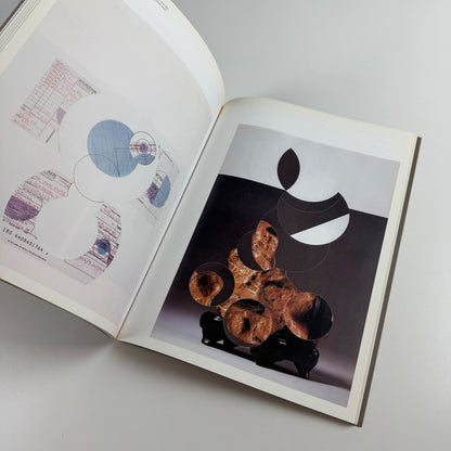 Gabriel Orozco by Jessica Morgan | Tate, 2011