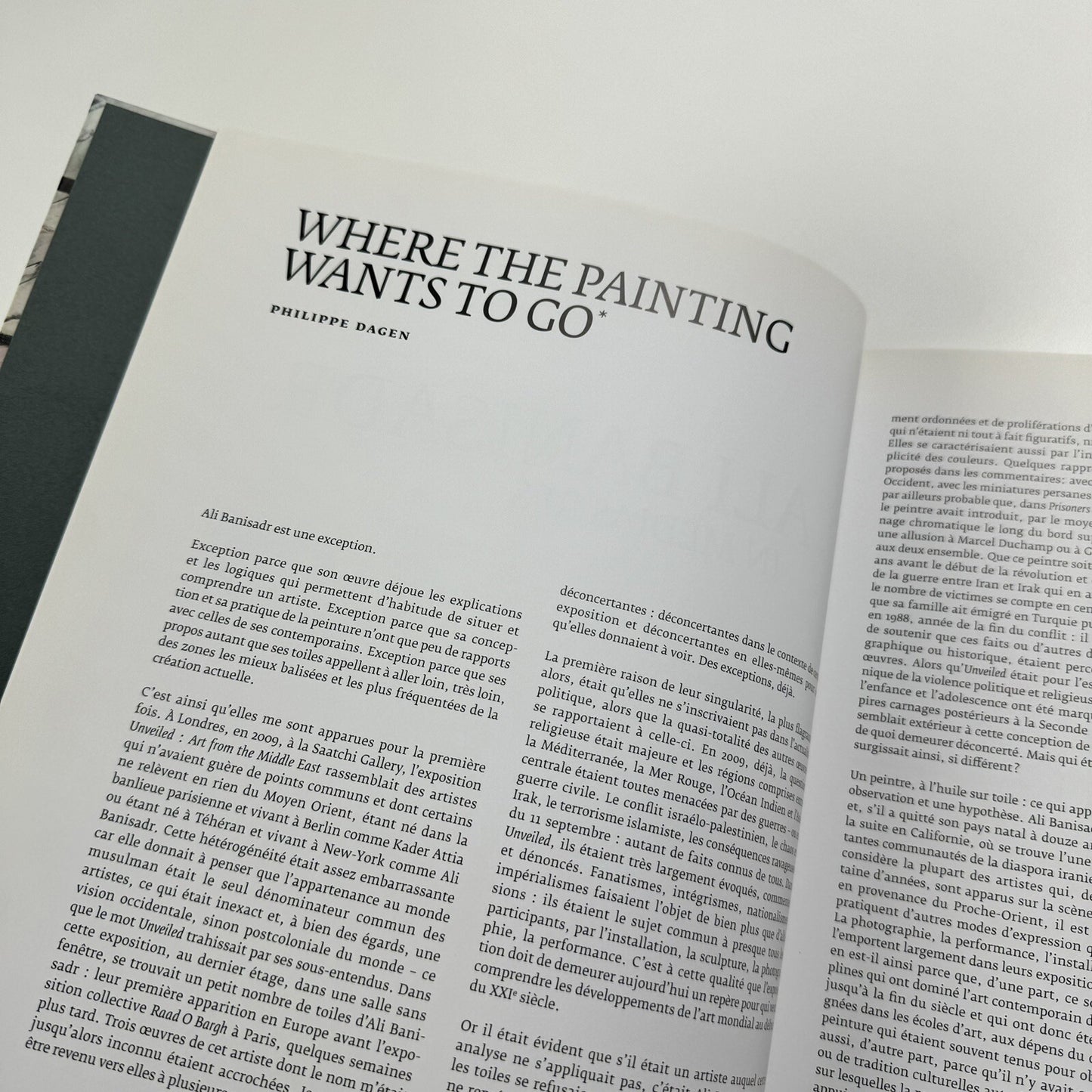 Ali Banisadr: In Medias Res | Galerie Thaddaeus Ropac text Philippe Dagen | 2015 catalogue