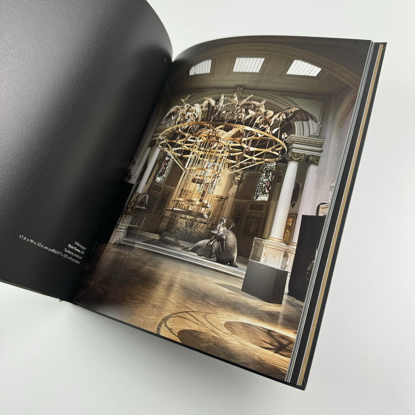 The Age of the Marvellous | One Marylebone Road | All Visual Arts catalogue, 2009 | Text by Joe Le Placa and John Paul Pryor