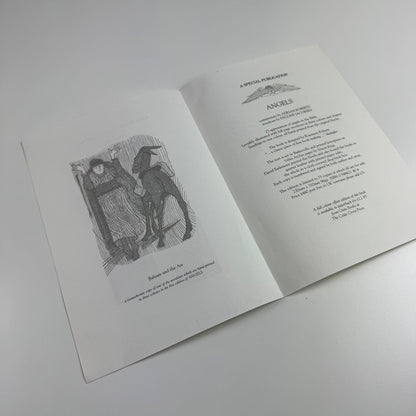 Books from the Celtic Press 1998/9 Stained Glass Windows, Butterflies, Angels
