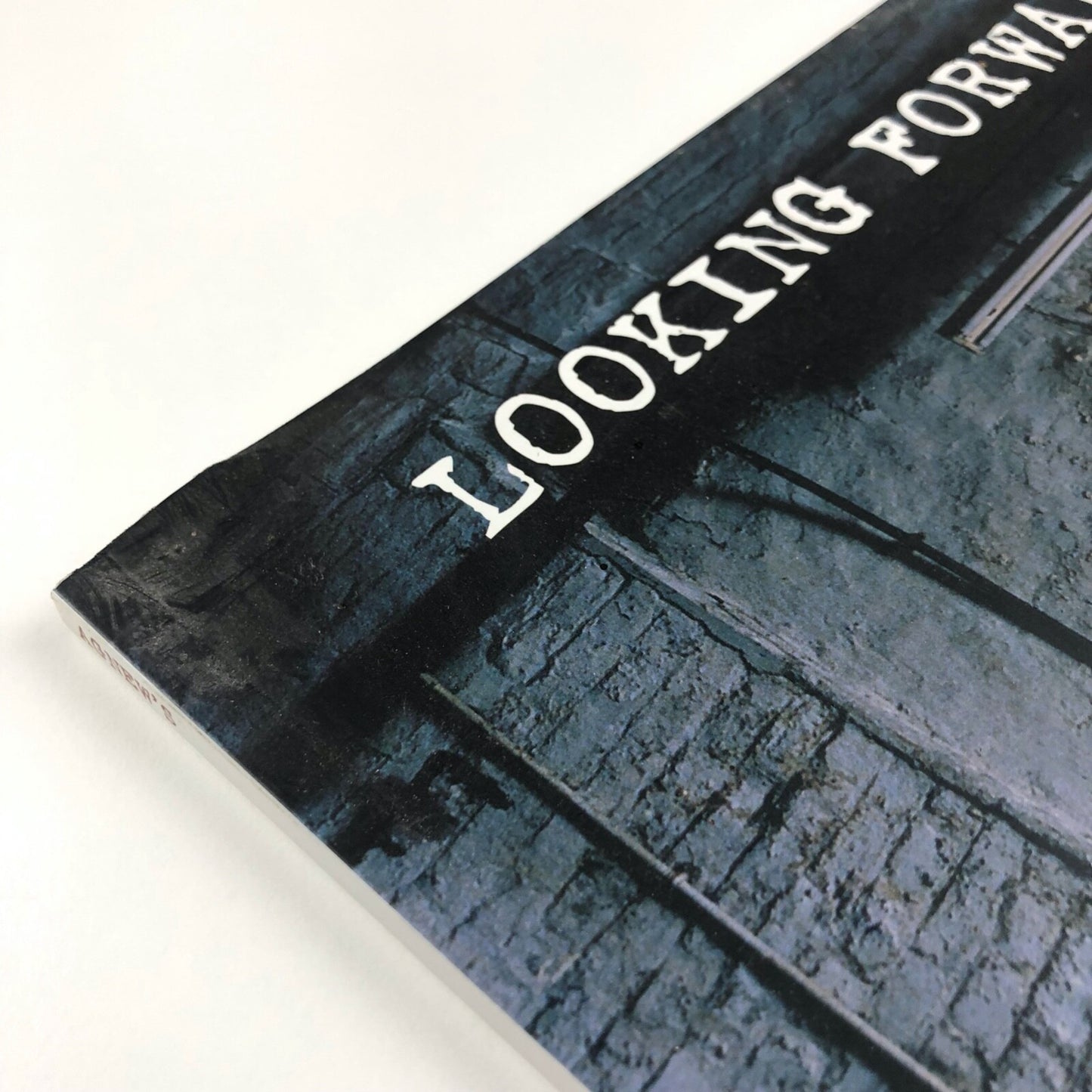 Looking Forward. Thirty Contemporary British Artists. Celebrating 190 years as art dealers and 130 years on Old Bond Street | Agnew's, 2007