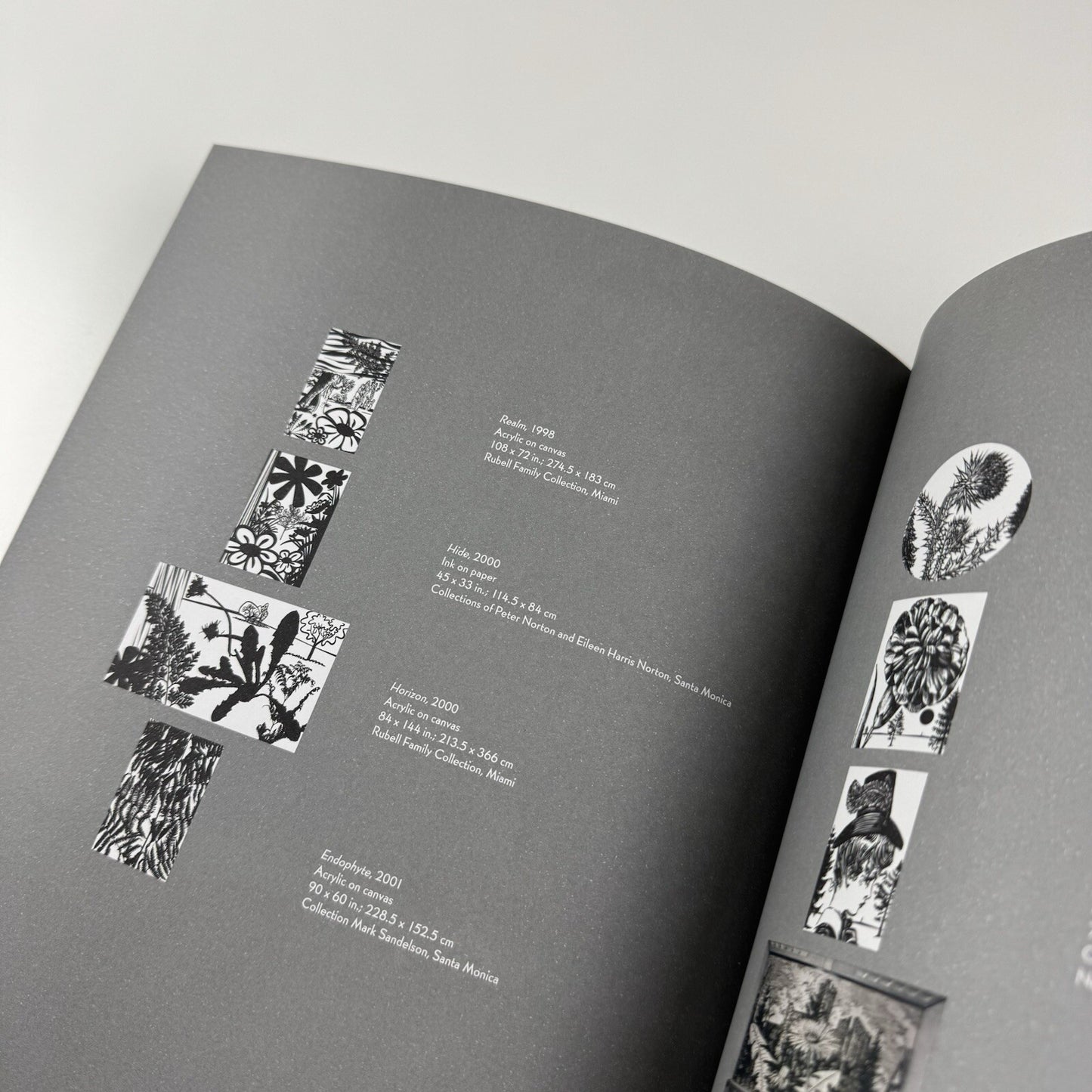 Paul Morrison | Los Angeles Art Museum exhibition catalogue, 2008