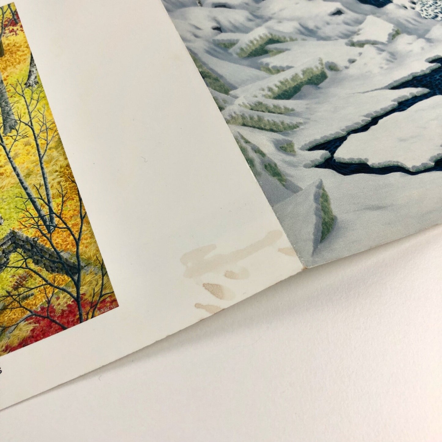 Alan Bray – Main Coast Artists | Schmidt Bingham Gallery 1996 | Folded card