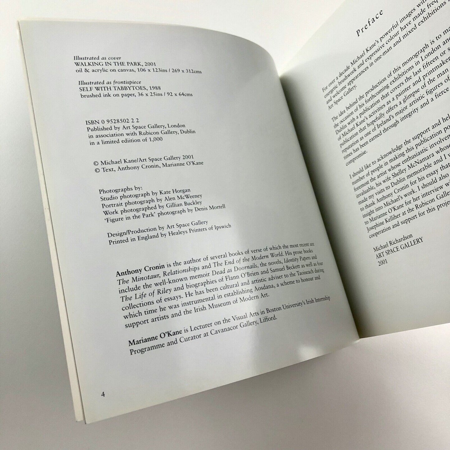 Michael Kane. Works 1985-2001 | Art Space Gallery | Rubicon Gallery, 2001