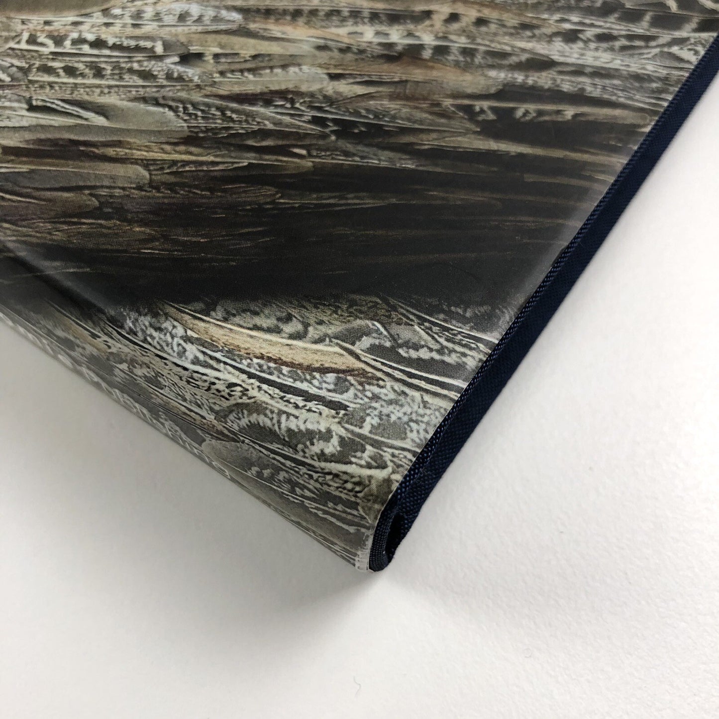 Kate MccGwire | Edited by Mark Sanders | Anomie Publishing, 2021