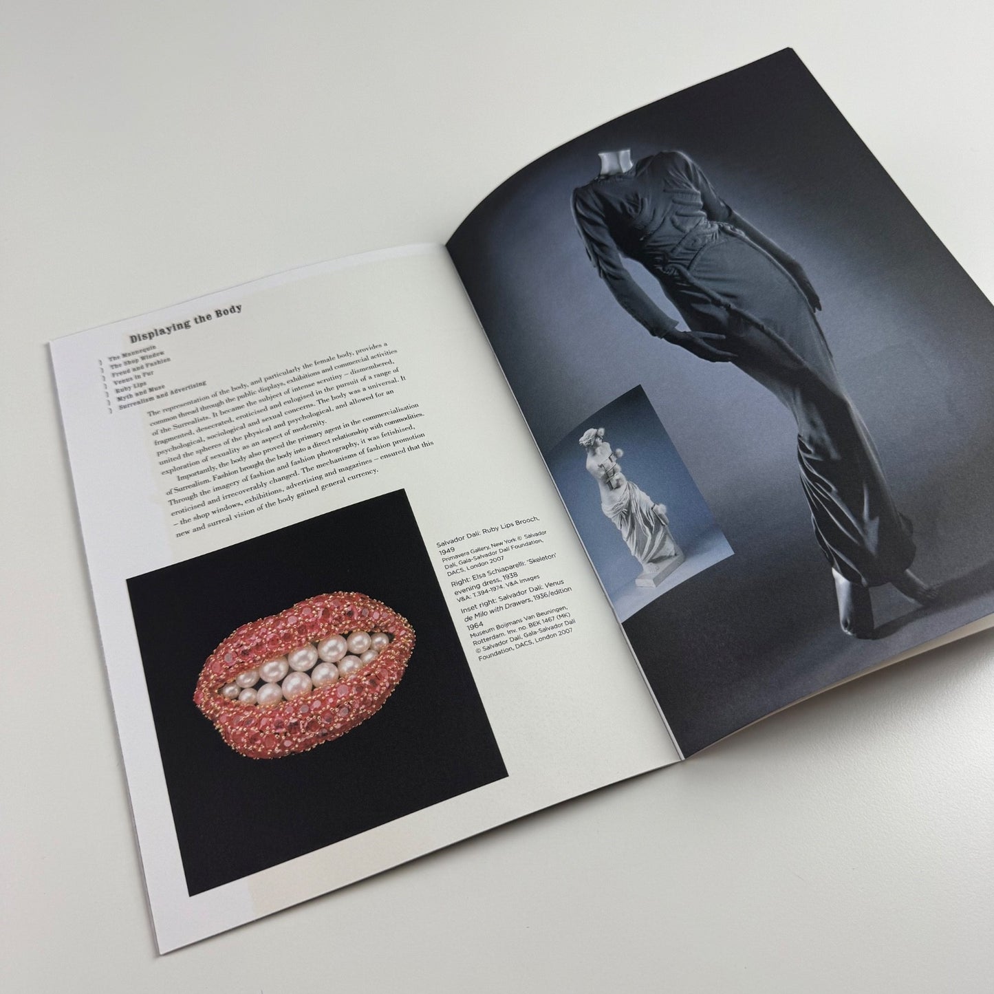 Gallery guide for Surreal Things: Surrealism and Design | V&A, 2007