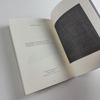 Poets’ riddles in stone | New Art Centre, Roche Court, 2008