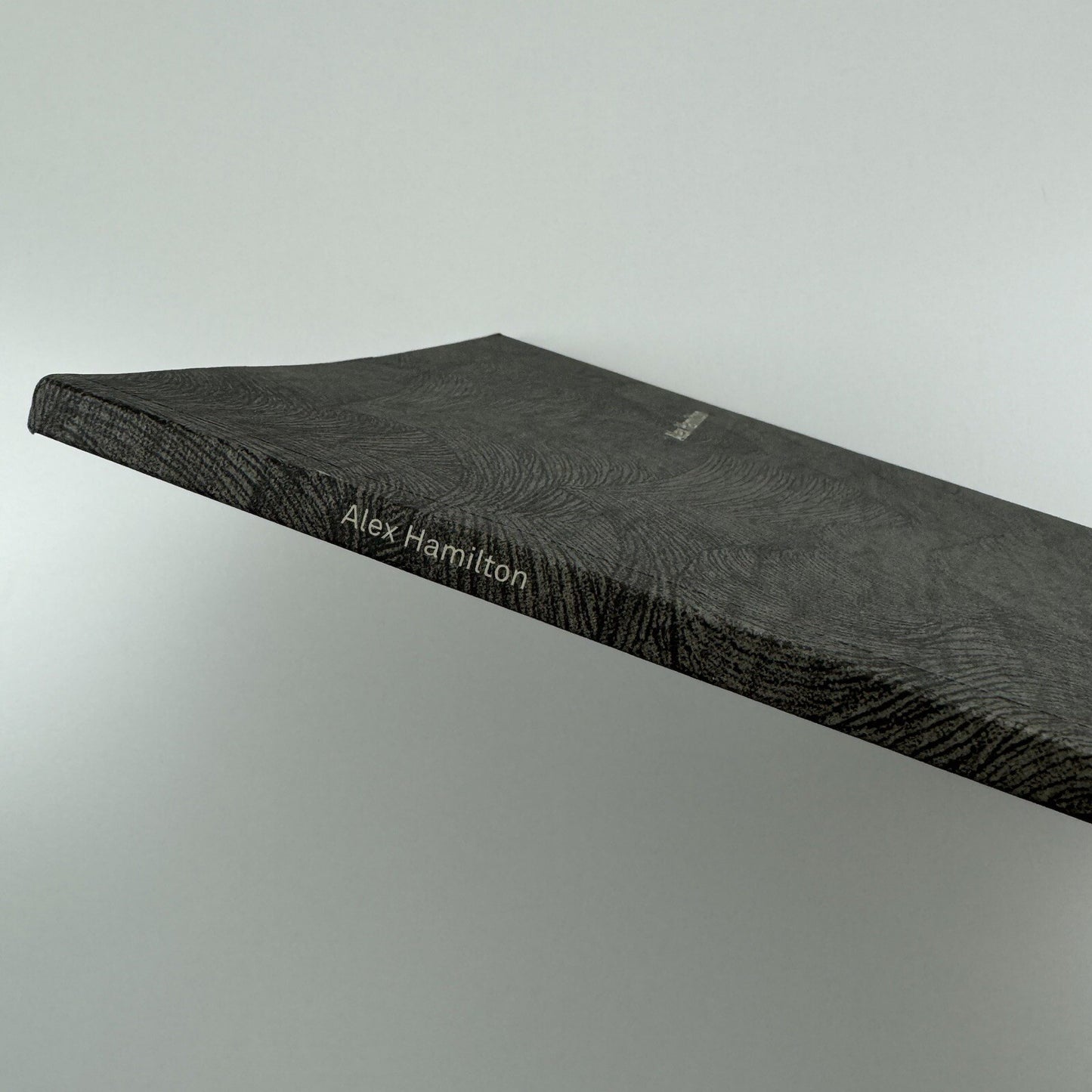 Alex Hamilton. Works 2009 | Patrick Heide Contemporary Art | 2009 exhibition catalogue