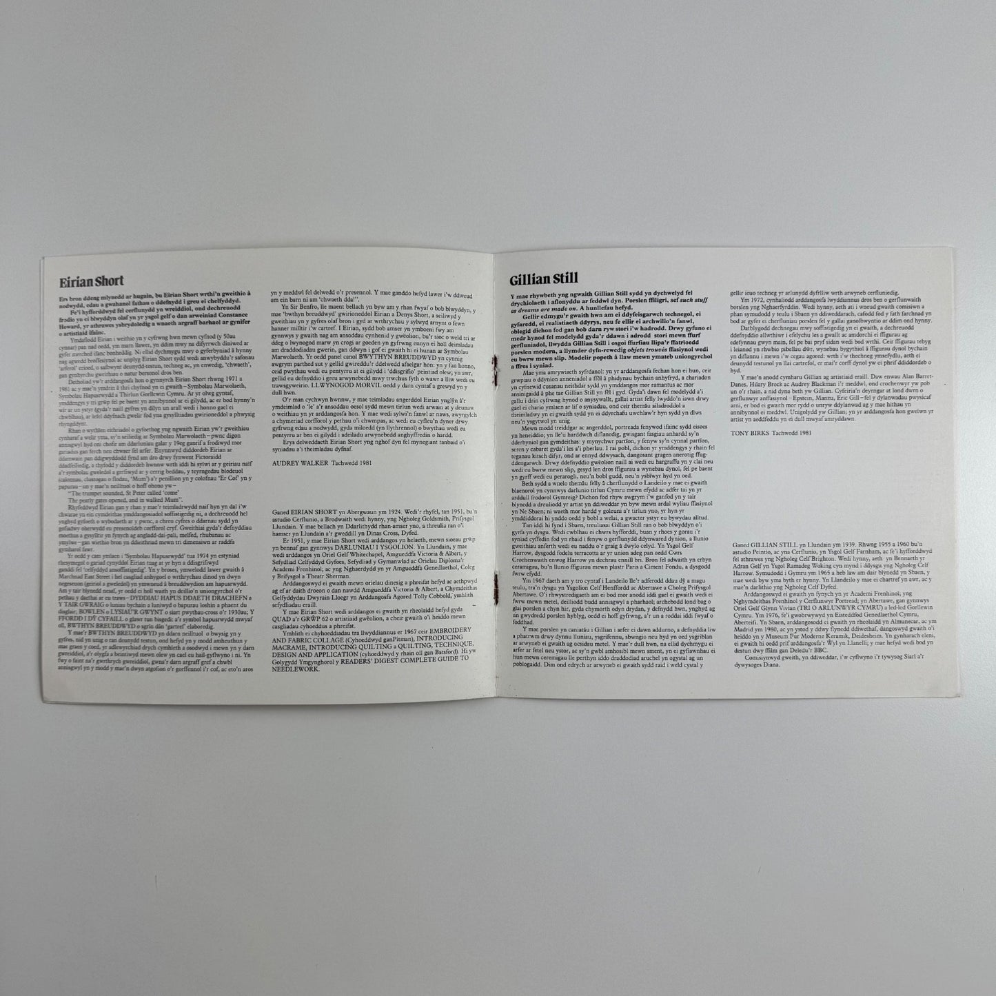 Eirian Short | Gillian Still | Textile Works | Porcelain Works, Oriel Welsh Arts Council 1981
