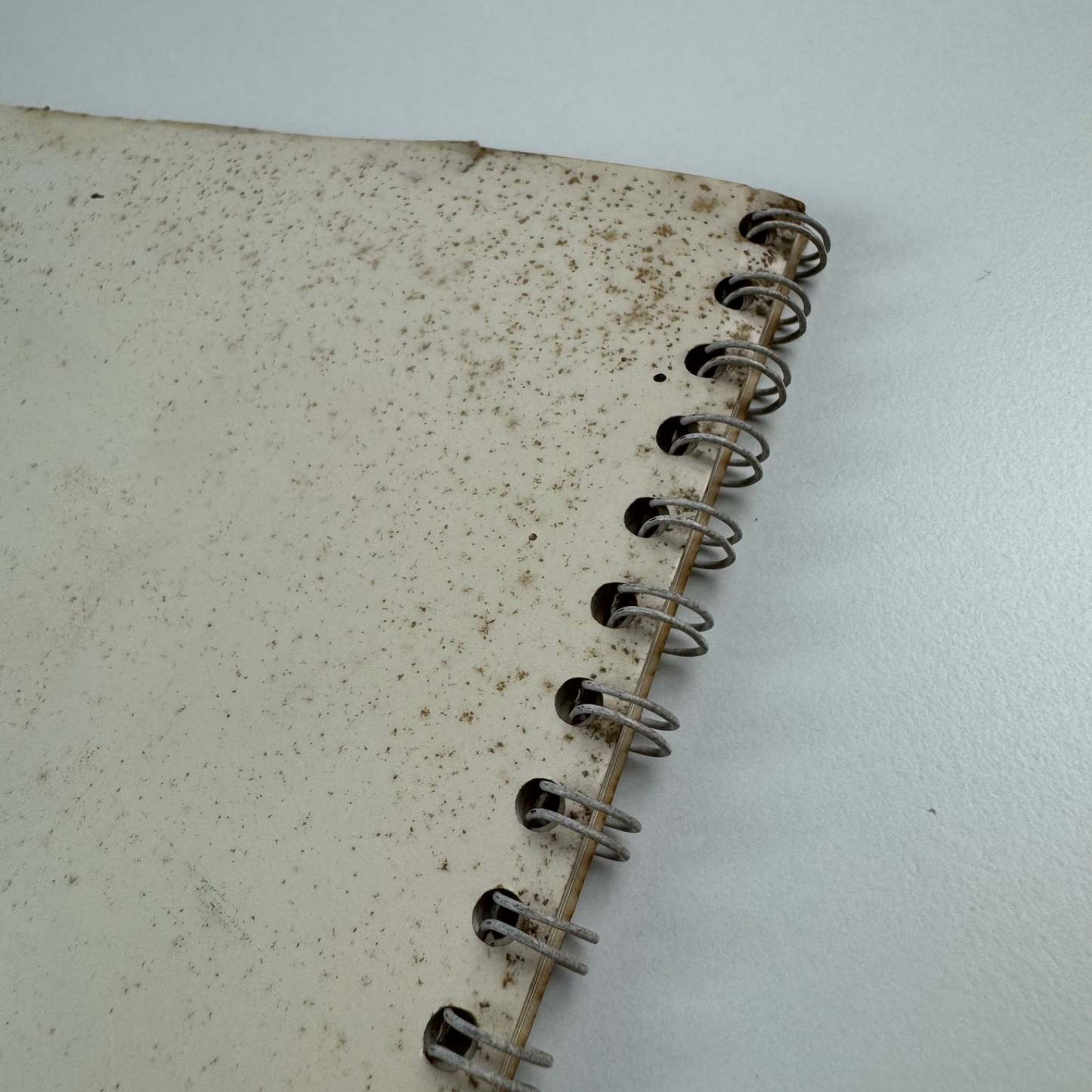 Royal College of Art Degree Show 1977 | School of Painting