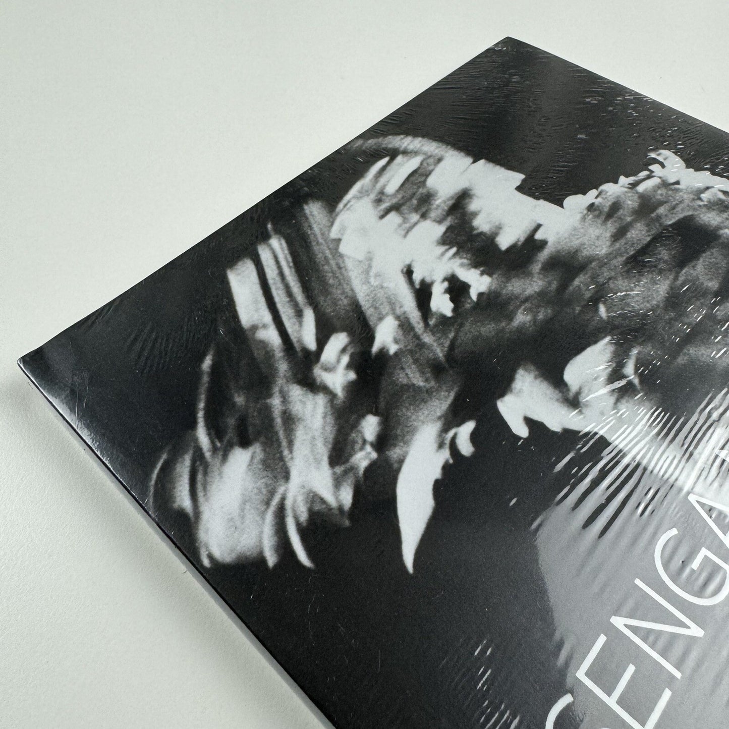 Senga Nengudi. The Back Room | Bradley Rizcana et al Dominque Lévy, 2016 catalogue
