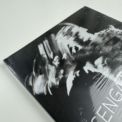 Senga Nengudi. The Back Room | Bradley Rizcana et al Dominque Lévy, 2016 catalogue