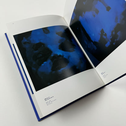 Blue Room. Yang Shao Bin | Ullens Center for Contemporary Art in Beijing, 2010 catalogue