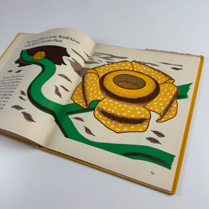 The Wonder World of Strange Plants by Marie Neurath | Max Parrish, 1956 Isotype Institute